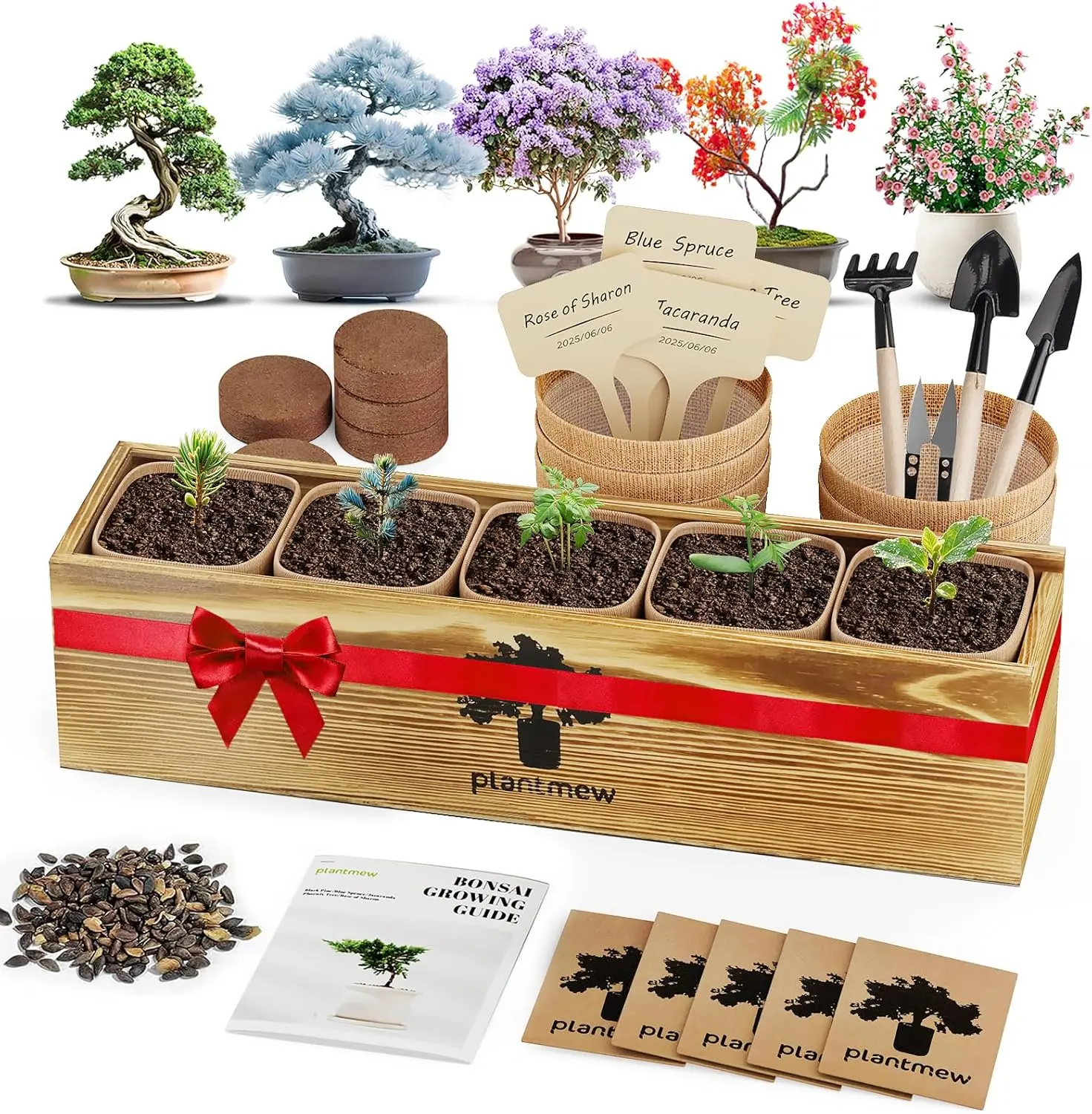 Bonsai Tree Kit for Beginners - 5 Unique Japanese Bonsai Seeds, DIY Indoor Gardening Crafts for Adults | Valentine'S, Mother'S Day & Birthday Gifts for Women and Men | Complete Starter Kit with Tools PLANTMEW