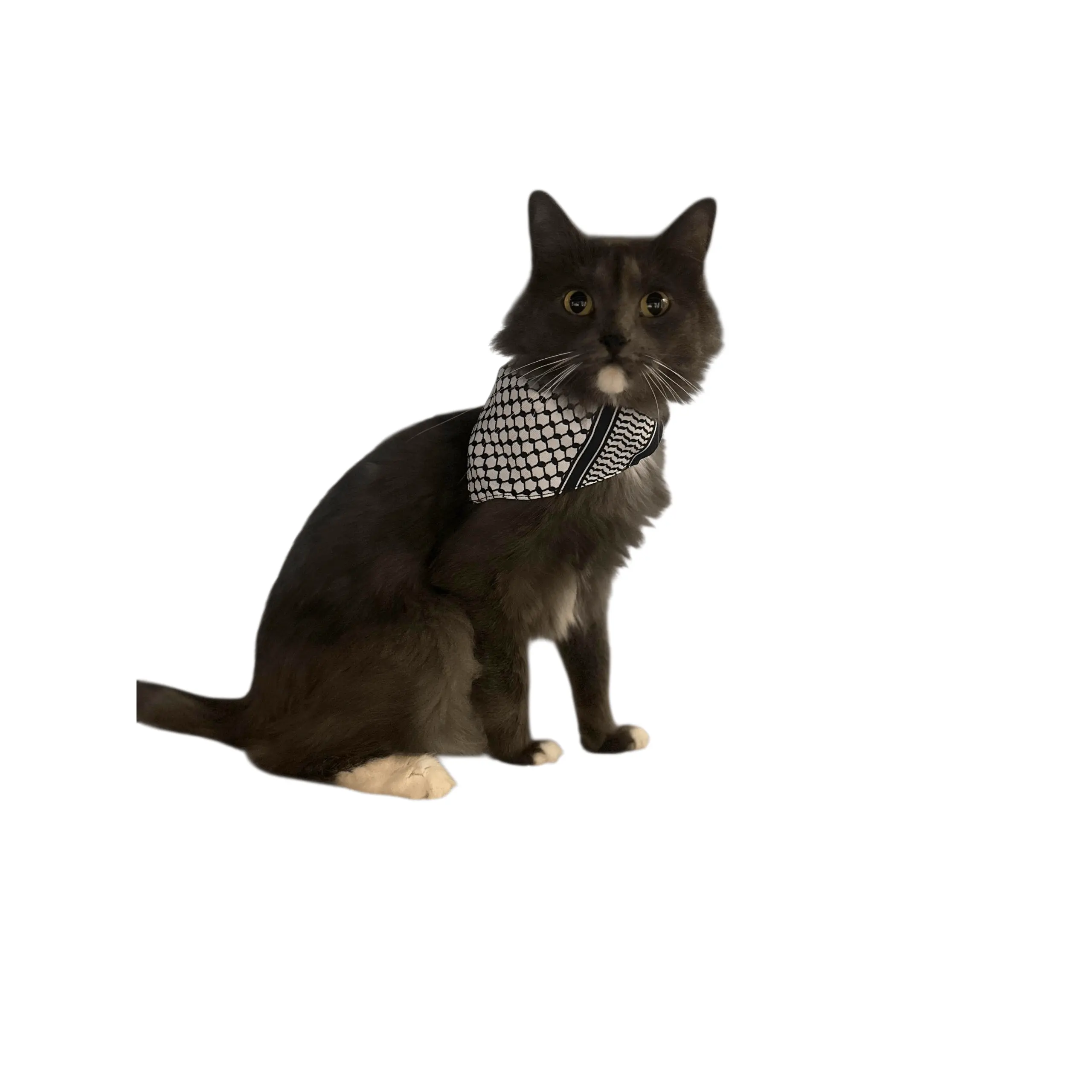 Keffiyeh Printed Pet Scarf -  Adjustable Cat Bandana with Secure Clip
