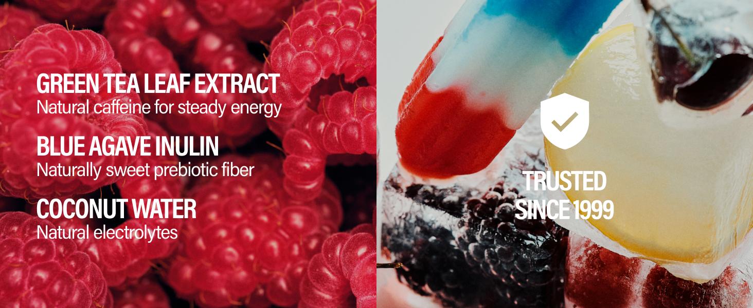 GURU ZERO SUGAR Organic Energy Drinks Variety Pack, Clean Energy Beverage with Plant Based Natural Caffeine from Green Tea, Coconut Water, Prebiotic, Zero Added sugars, Gluten Free and Vegan, Pre Workout, Healthy Drinks, 12oz (Pack of 12)