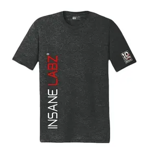 10 Year Anniversary Insane Labz Classic Logo Tee