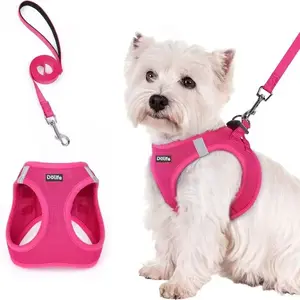 Step-in Mesh Dog Harness & Leash Set