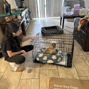 Large Dog Crate with Divider Panel, 24''/30''/36''/42''/48'' Double Door Folding Metal Wire Dog Cage with Plastic Leak-Proof Pan Tray, Pet Kennel for Indoor, Outdoor, Travel dogcrate training