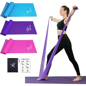Flat Resistance Bands Set, Latex Free Flat Elastic Exercise Stretch Bands for Stretching, Flexibility, Pilates, Yoga, Ballet, Gymnastics, Rehab, Workout, , Purple, Blue (3 Pack, 5 FT long)