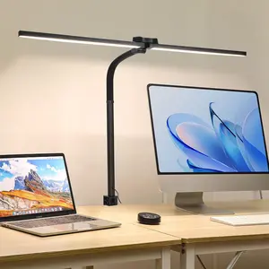 Dual Head Clip-On LED Desk Lamp, Adjustable Gooseneck Design, USB Powered, 360° Rotatable Angle, Ideal for Reading, Studying, Workplace Lighting