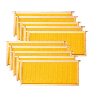 Deep Brood Beehive Frames with Wax Foundation,10 Pack Honey Bee Frames with 100% Beeswax Coated Food Grade Foundation Sheets, 9-1/8-Inch(Yellow)