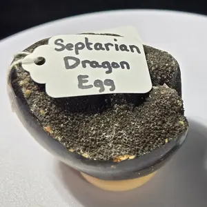Septarian Egg