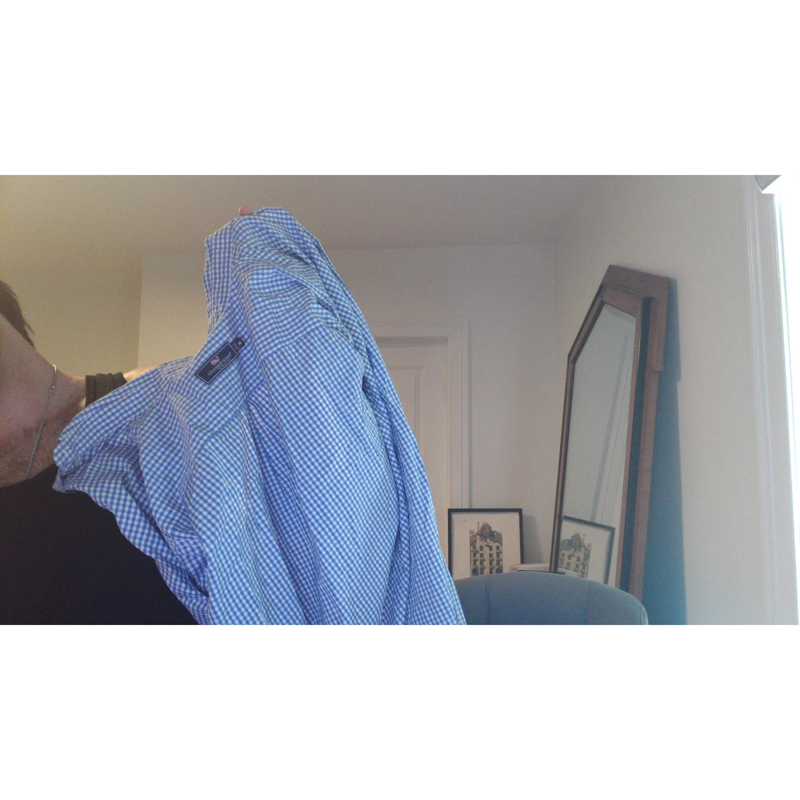 Vineyard Vines Men's Blue Gingham Check Whale Logo Shirt