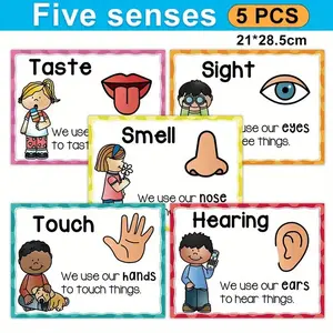 Five Senses Posters Set of 5, Frameless Educational Charts for Classroom Library Game Room, Student Teacher Learning Materials, Teaching Supplies