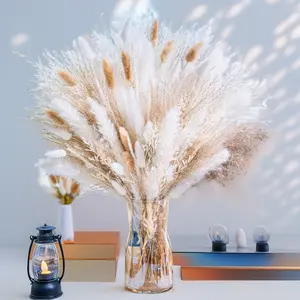 Boho dreams DO come true. 🌾 🤍   95 stems of natural pampas grass-white, beige, and pure perfection. No water, no wilting, just eternal cozy vibes. ✨
