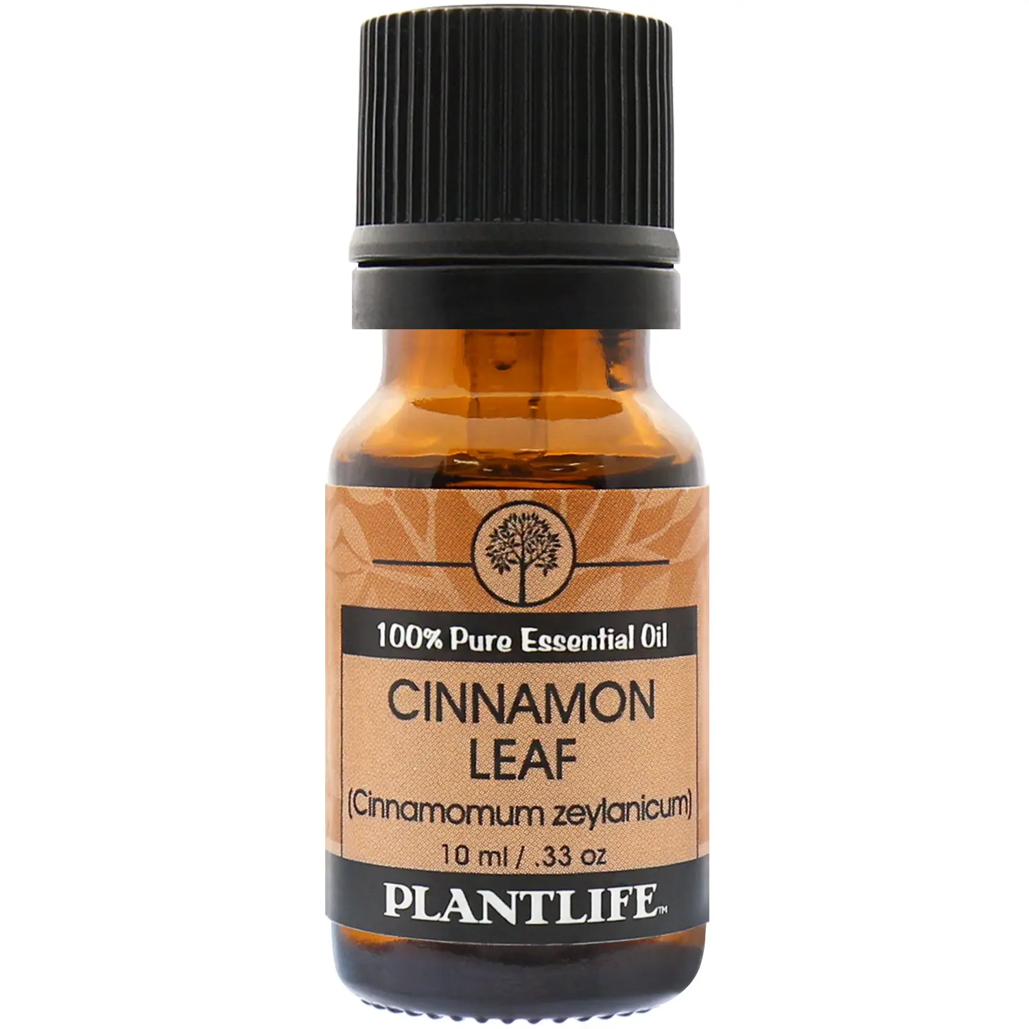 Plantlife Cinnamon Leaf Essential Oil – Warm & Spicy Aromatic Oil (10 ml)