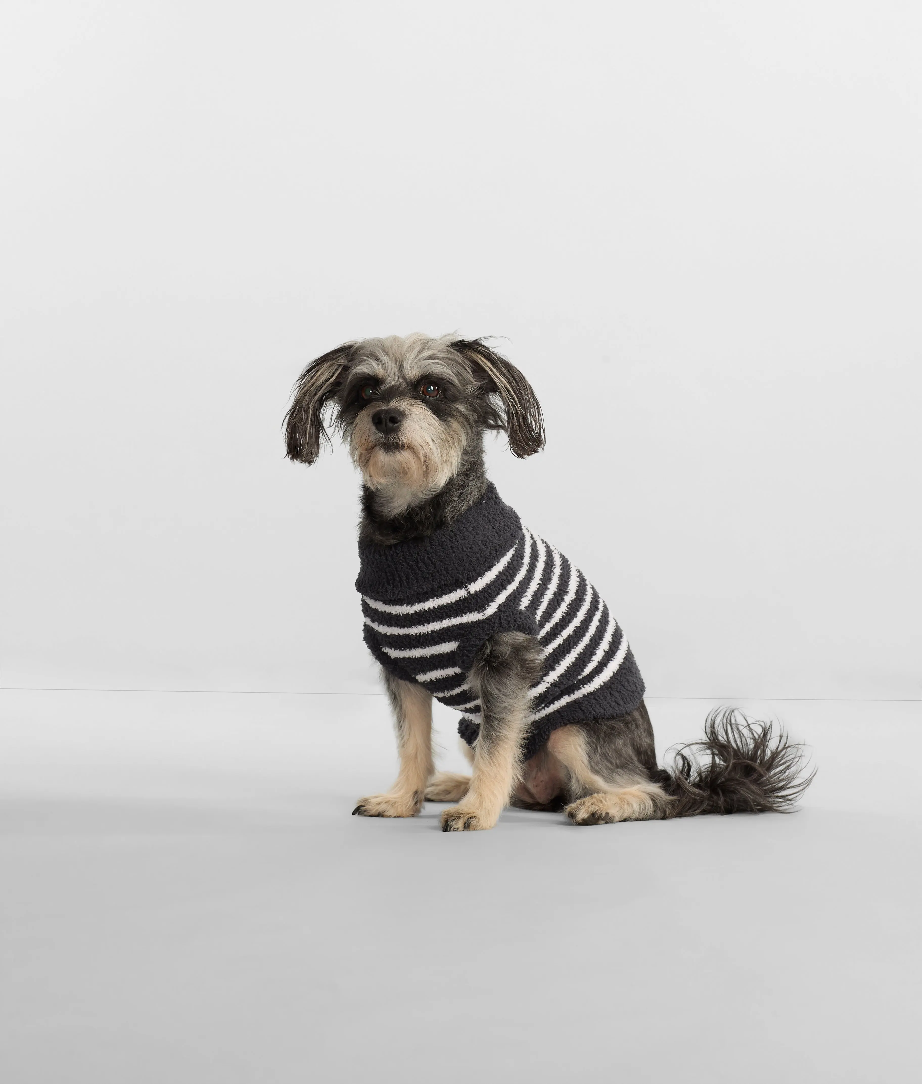 The Cozy Dog Sweater