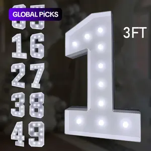 Light-Up Number & Letter (1 Set), Battery-Powered Light-Up Numbers, Giant Numbers for Birthday, Anniversary & Graduation Party Decorations, Party LED Lights, Led Lighted, Battery Powered Ornament #GLOBAL PICKS