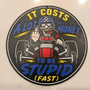 It costs a lot of money to be stupid (Fast) 3d printed sign