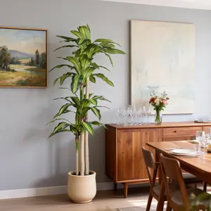 6FT Premium Synthetic Dracaena Mass Cane Tree - Lifelike Faux Tropical Floor Plant with Ceramic or Plastic Pot, Decorative Indoor Home & Living Room Nursery-Quality Decor