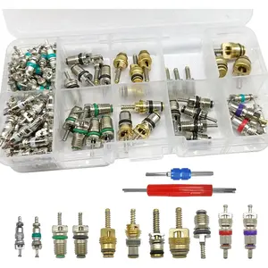 102Pcs Air Conditioning Valve Core Accessories Kit, A/C R12 R134a Refrigeration Tire Valve Stem with Double Head Dual Dismantling Remover Installer Tool Assortment Kit