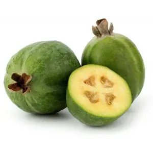 Pineapple Guava  SeedS - Fruit Tree ,Shrub