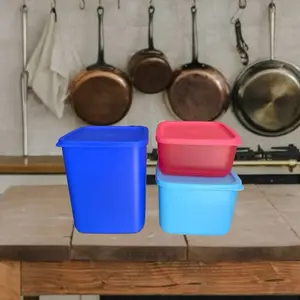 Tupperware Refrigerator Containers with Lids 2.2L 1L 650Ml Perfect for Food Storage