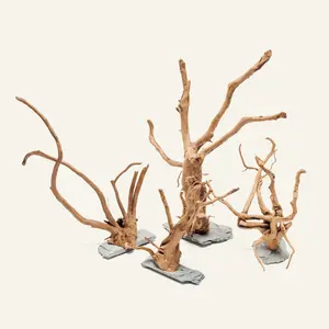 Spider Wood on Slate Stone