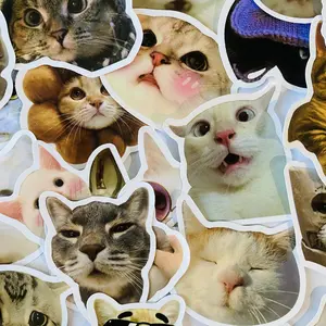 100 Pcs Meme Cat Stickers, Funny kitten stickers for Laptops Phones & Notebooks Adorable Cat Designs Cute Kitten Waterproof Stickers