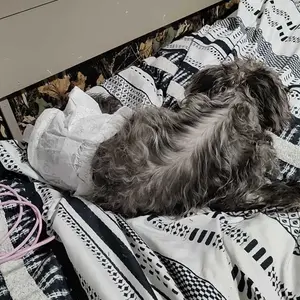 review image 1