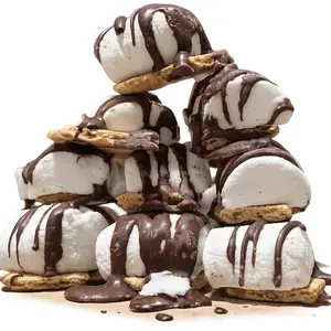 SMORES 1PK FREEZE-DRIED Dessert Cookies - Delicious Chocolate Drizzled Marshmallows on Graham Crackers Snack