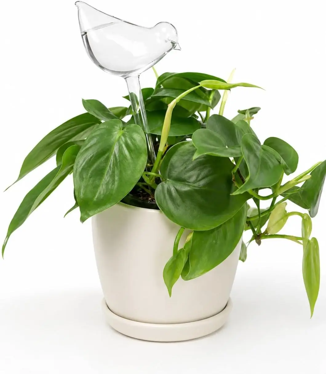 Self Watering Plant Bulb Stake PVC Plastic SAFE Water Bulb Globe Spike Gardening Tool Indoor Outdoor Potted Plant Flower Planting Boho Modern Unique Gift(1Pcs)