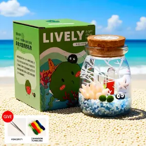 Healing Marimo Aquatic Garden - 3.5×2.6 Inch Miniature Landscape, Low-Maintenance Glass Peninsula Ecosystem with Adorable Moss Ball, Premium DIY Aquatic Decor Kit (Includes LIVELY Moss Ball Pet)