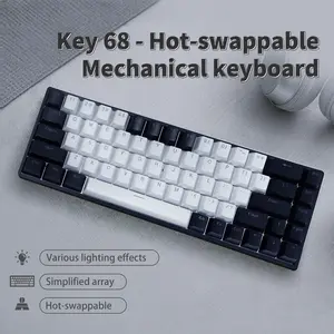 68 Keys Hot Swap Mechanical Keyboard | Red Linear / Blue Clicky Switches Optional,  RGB Lighting, Portable Compact Keyboard for PC & Daily Use