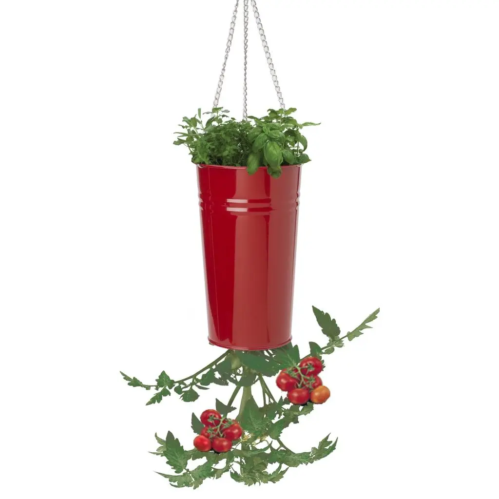 212 MAIN Upside Down Tomato & Pepper Hanging Planter - 8398E XR Enameled Galvanized Steel, Rustproof, Red, Outdoor (Distributed by Houston International Trading)