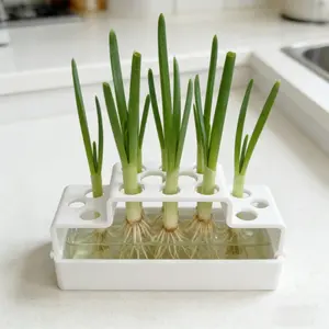 1pc Modern Hydroponic Regeneration System - Reusable Plastic/Outdoor Plant Planter with Tray Suitable for Onions, Herbs, Micro-Leafy Vegetables - Compact Window Sill Vegetable Planting Rack Suitable for Home Cooks, Balconies, Urban Gardening