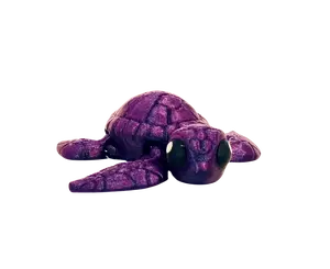 Fidget Friends Sea Turtle
