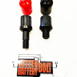 GM Style Side Post Battery Terminal Bolts LONG SIDE AND SHORT SIDE (1 pair)