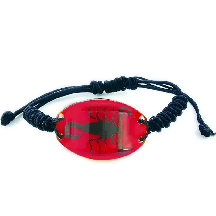 Red Oval Shaped Pendant Bracelet with Real Black Scorpion
