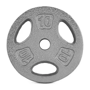 Barbell Standard Weightlifting Plate, 1-Inch Hole Solid Cast Iron Barbell Weight Plates, 10 lbs, Single
