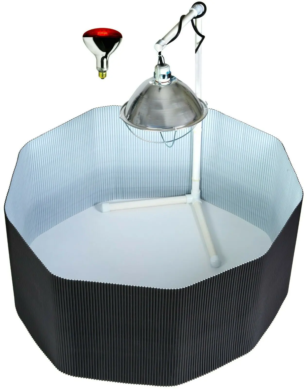 Deluxe Chick Brooder Kit With Corral, Lamp Stand, Lamp, & Bulb