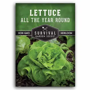 All The Year Round Lettuce Seeds