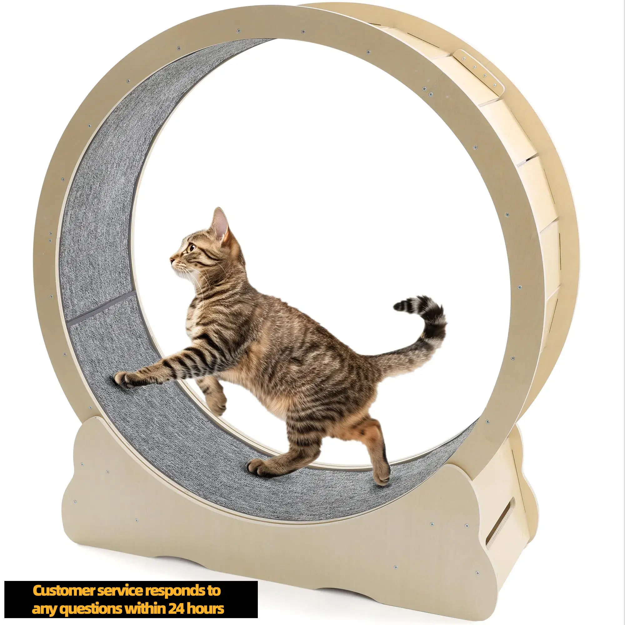 【Friendly customer service】YODOLLA 41.3”/35.8”/46''Cat Exercise Running Wheel,Cat Wheel for Indoor Cats, Large Quiet Cat Treadmill with Detachable Car