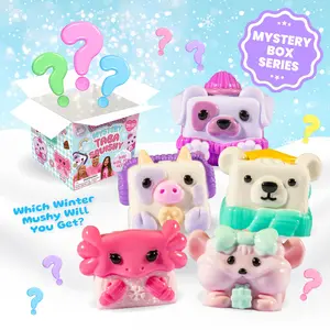LIMITED COLLECTORS EDITION - WINTER MYSTERY BOX SERIES 1