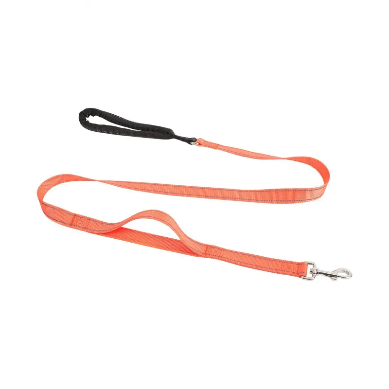 Orange leash