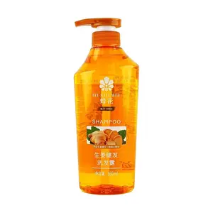 BEE&FLOWER Ginger Beer Hop Essence Shampoo - Silicone-Free, Strengthening & Volumizing 600ml for Oily, Flat, and Weak Hair