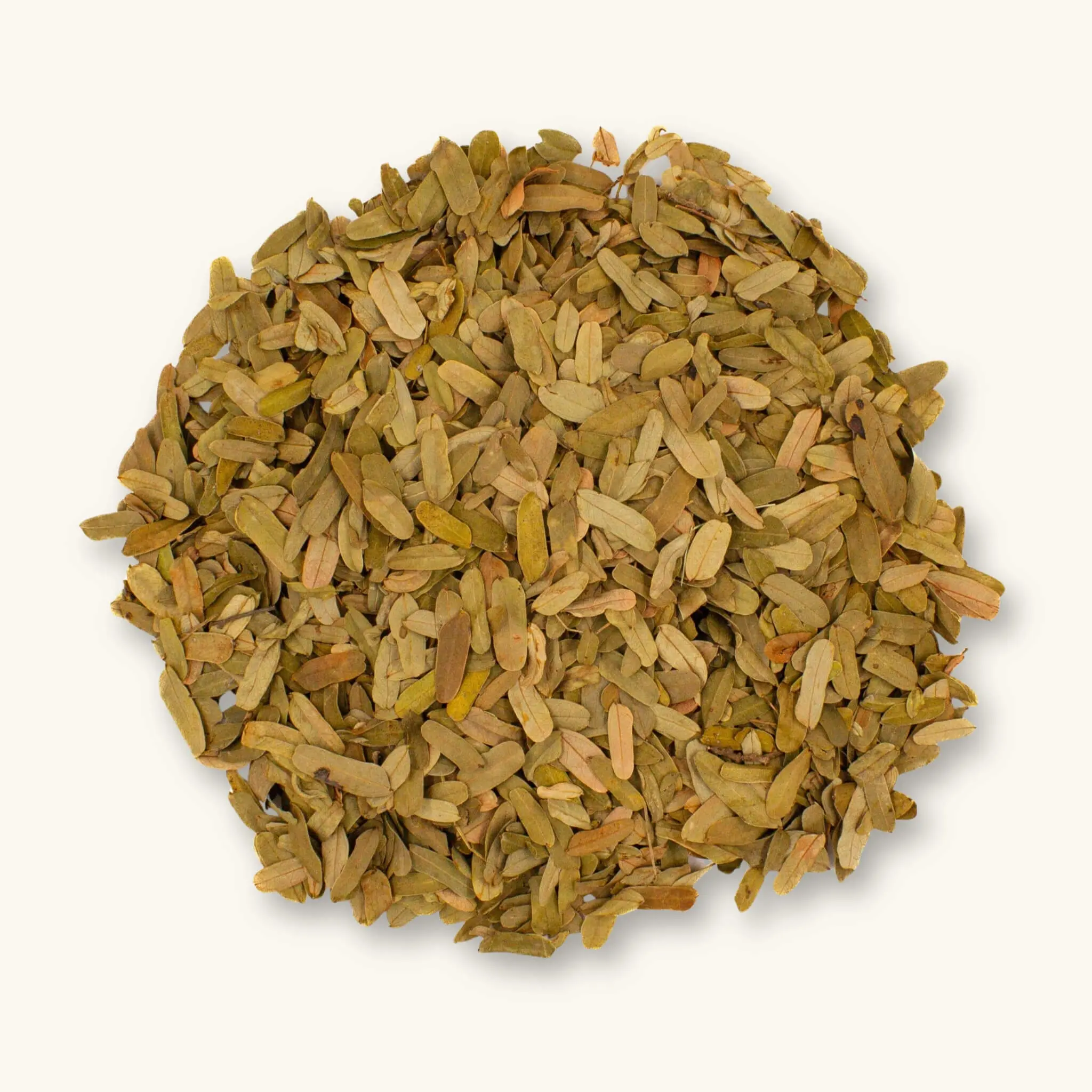 Natural Tamarind Leaf Litter (8oz) by Betta Botanicals for Shrimp Tanks & Blackwater Aquariums