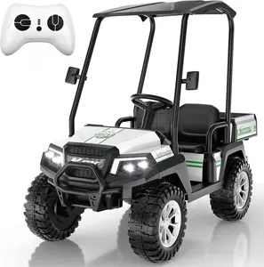 ANPABO Kids Golf Cart w/Detachable Awning – 4WD 2-Seater Ride-On Car with Large Storage Trunk, Remote Control, 3 Speeds, Music Player, LED Lights – Perfect Christmas Gift