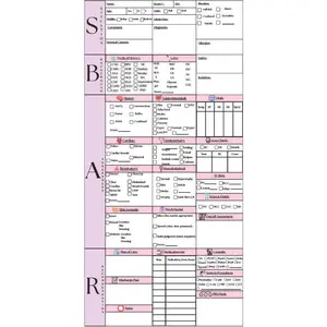 SBAR Nursing Report Sheet Printable