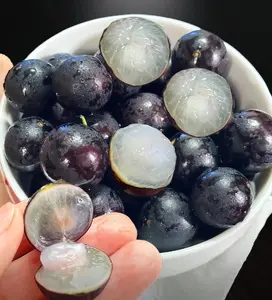 300+Jabuticaba Seeds (Grape Tree Seeds) – South American Fruit, Rare Exotic Fruit Tree, Four Seasons Planting, Non-GMO Tropical Fruit Seeds for Home Garden & Container Growing, Perfect for Beginners and Lazy Growers, Ideal Gift Choice