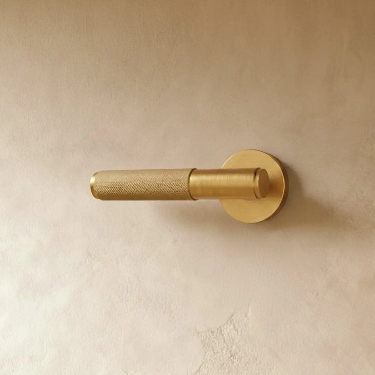 The Brass Door Handle
