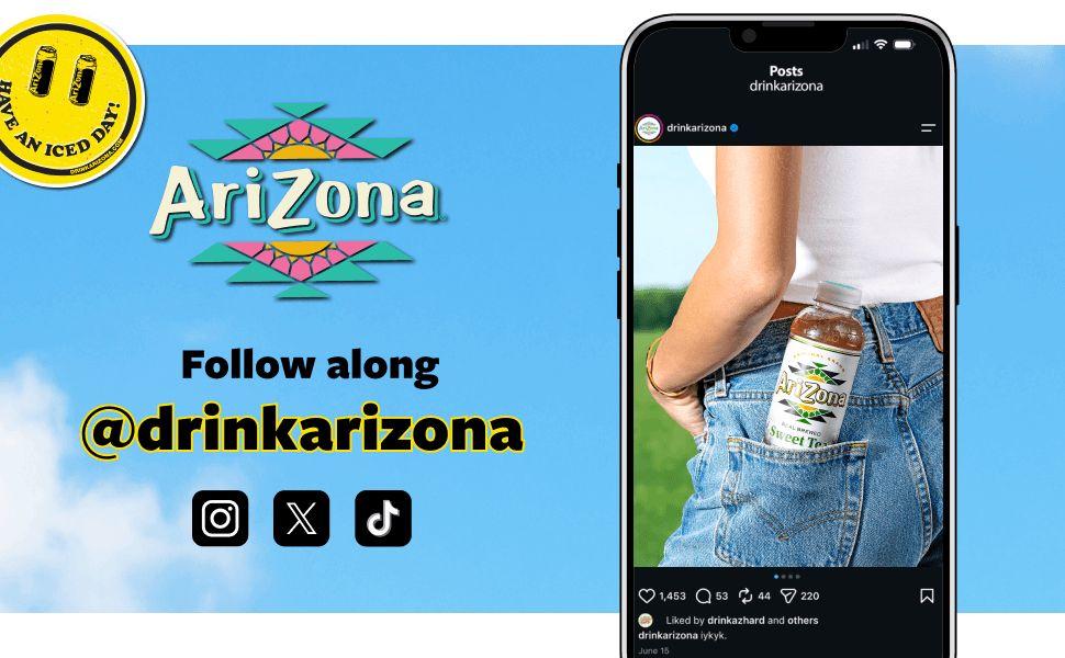 AriZona Fruit Punch | Fruit Juice Cocktail | 16 Fl Oz (12 Pack)
