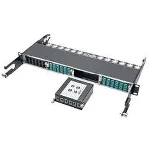 Tripp Lite N484-2M24-6M12 100g 120g To 40g Breakout Cassette