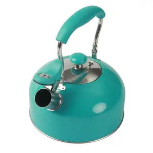 Stovetop Kettle Compatible Stainless Steel Turquoise - Classic Design with Handle & Spout, Ideal for Cooking and Drinkware - Jugs Stylish Aesthetic