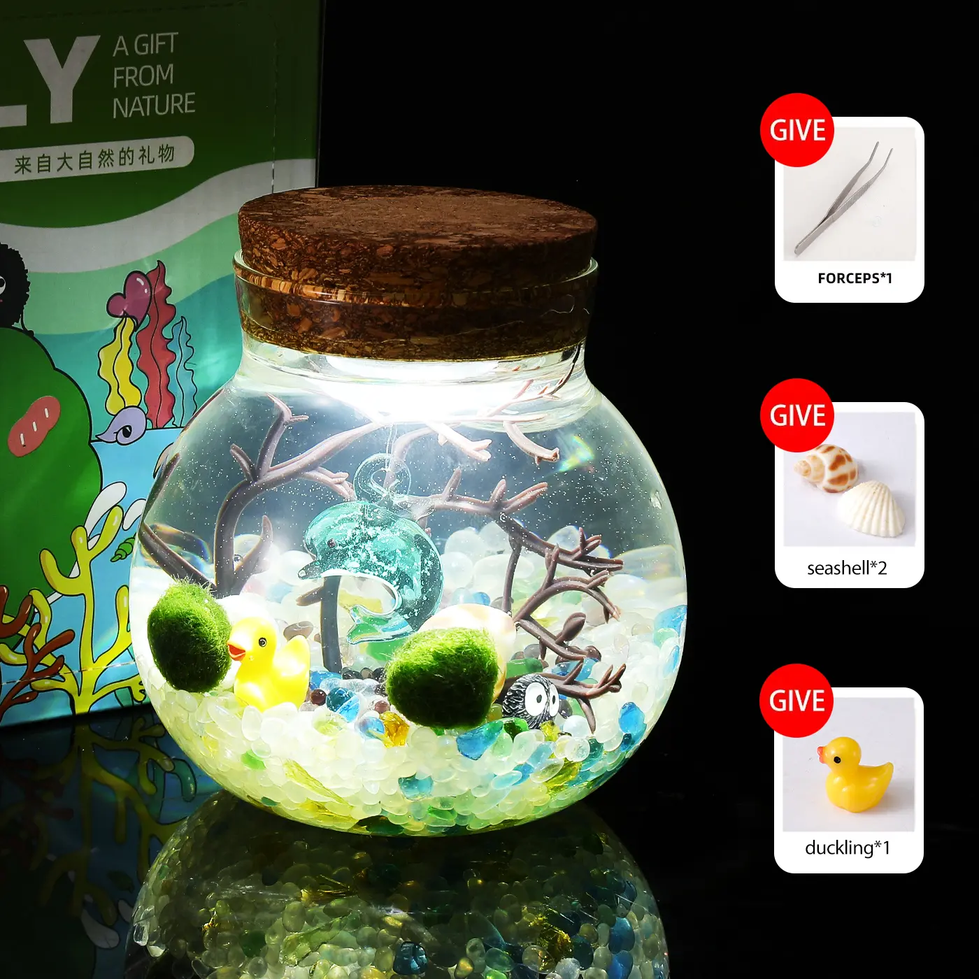 Dubhe - Cute Big Dipper Bottle Ecosystem, Marimo Moss Ball Micro-Landscape, Self-Sustaining Crystal Garden & Mini Aquatic Habitat for Desk (Includes 2 Live Marimo Pets)