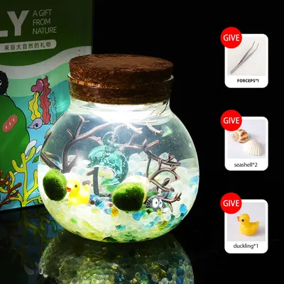Marimo Cutecore - TikTok Shop